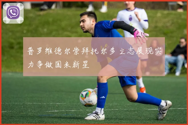 普罗维德尔崇拜托尔多立志展现实力争做国米新星